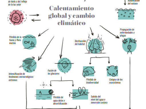 El desarrollo no es sostenible